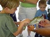 Student learning about a fish